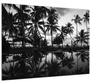 Skleněný obraz tropického ostrova (70x50 cm)