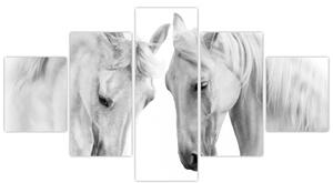 Obraz bílých koňů (125x70 cm)