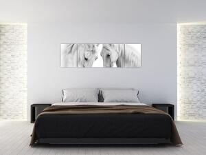 Obraz bílých koňů (170x50 cm)