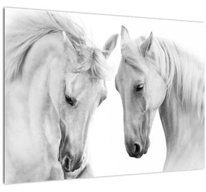 Obraz bílých koňů (70x50 cm)