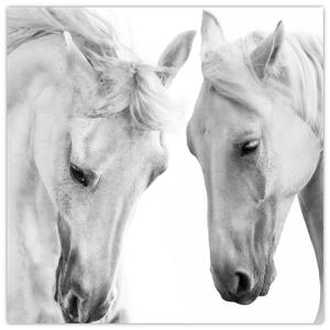 Obraz bílých koňů (30x30 cm)