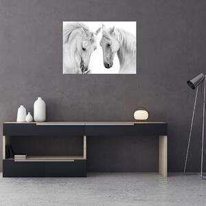 Obraz bílých koňů (70x50 cm)