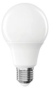 LED ŽÁROVKA E27 - Žárovky
