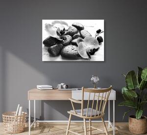 Obraz krásná souhra kamenů a orchideje v černobílém provedení Varianta: 120x80