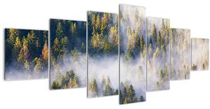 Obraz stromů v mlze (210x100 cm)