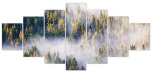 Obraz stromů v mlze (210x100 cm)