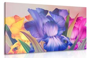 Obraz květinová fantazie Varianta: 90x60