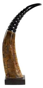 Dekorativní roh Buvol na dřevěném podstavci (bubalus bubalis) - 45cm
