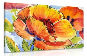 Obraz kytice makových květů Varianta: 90x60