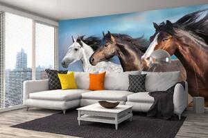 DIMEX | Vliesová fototapeta Portrét koně MS-5-0395 | 375 x 250 cm | modrá, bílá, hnědá