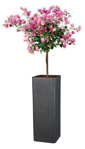 Scheurich Květináč Cube High (výška cca 70 cm, Granit černá) (100349932001)