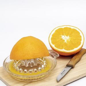 Westmark Lis na citrusy sklo - Odšťavňovač na citrusy, skleněný, malý, 30 ml