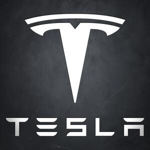 DUBLEZ | Dřevěný znak auta na zeď - Tesla