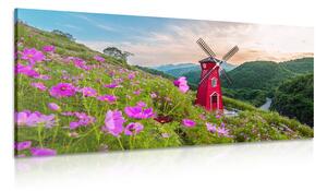 Obraz louka při kouzelném mlýně