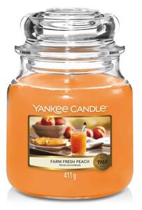 Yankee Candle - vonná svíčka Farm Fresh Peach (Čerstvá farmářská broskev) 411g