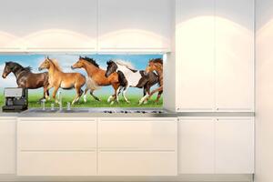 DIMEX | Fototapeta do kuchyně Stádo koní KI-180-111 | 180 x 60 cm | zelená, modrá, hnědá