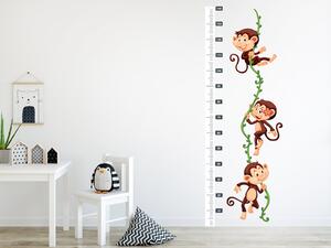 Metr opičky na liánách 50 x 140 cm
