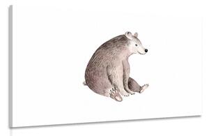 Obraz medvídek v jemných barvách Varianta: 90x60