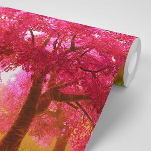 Samolepící fototapeta rozkvetlé stromy třešně