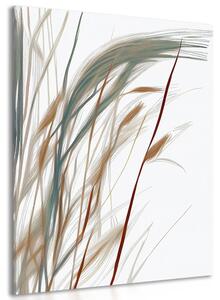 Obraz minimalistická stébla trávy Varianta: 60x90
