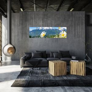 Obraz - Jaro v Alpách (170x50 cm)