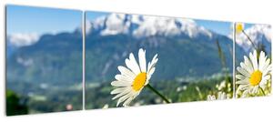 Obraz - Jaro v Alpách (170x50 cm)