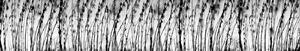 DIMEX | Fototapeta do kuchyně Černobílá tráva KI-350-137 | 350 x 60 cm | černobílá