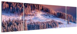 Obraz zimní krajiny (170x50 cm)