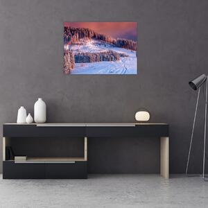 Obraz zimní krajiny (70x50 cm)