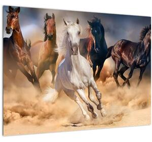Skleněný obraz - Koně v poušti (70x50 cm)