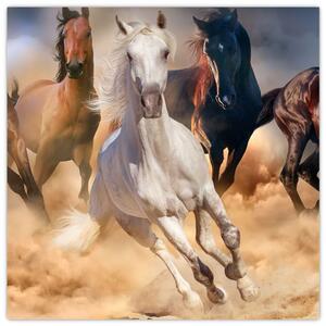 Obraz - Koně v poušti (30x30 cm)