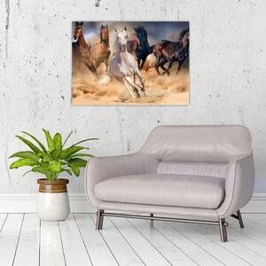 Obraz - Koně v poušti (70x50 cm)