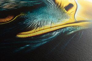 Obraz modro-zlatý orel Varianta: 40x60