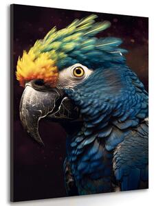 Obraz modro-zlatý papoušek Varianta: 80x120