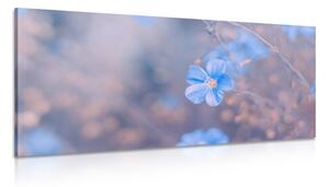 Obraz modré květy na vintage pozadí Varianta: 100x50