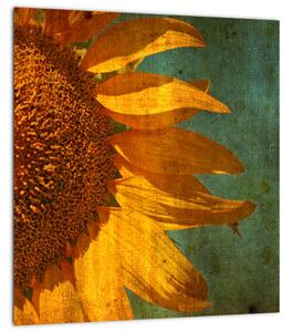 Obraz - Slunečnice (30x30 cm)