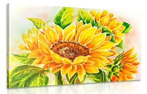Obraz nádherná slunečnice Varianta: 120x80