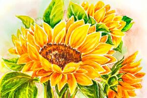 Obraz nádherná slunečnice Varianta: 90x60