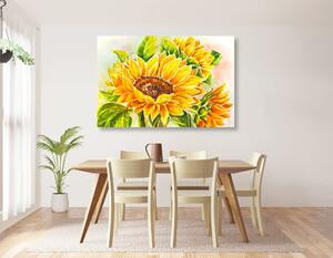 Obraz nádherná slunečnice Varianta: 60x40