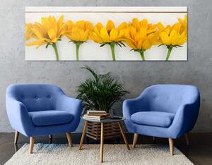 Obraz nádherné žluté květy Varianta: 150x50