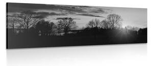Obraz nádherný západ slunce v černobílém provedení Varianta: 150x50