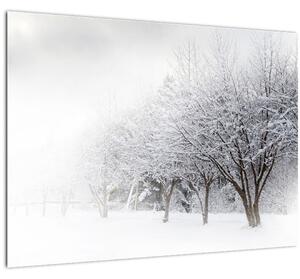 Obraz - Zimní alej (70x50 cm)