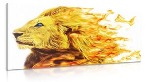 Obraz ohnivý lev Varianta: 100x50