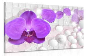 Obraz orchidej na abstraktním pozadí Varianta: 60x40