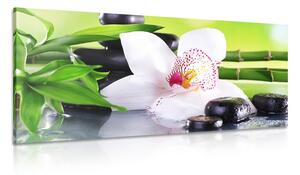 Obraz orchidej s japonskou tématikou