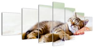 Obraz - Spící kotě (210x100 cm)