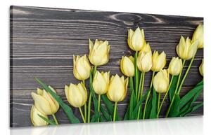 Obraz očarující žluté tulipány na dřevěném podkladě Varianta: 120x80