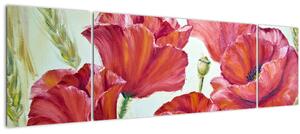 Obraz - Květy vlčích máků (170x50 cm)