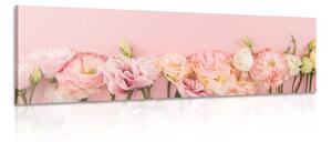 Obraz pastelové květoucí květiny Varianta: 150x50
