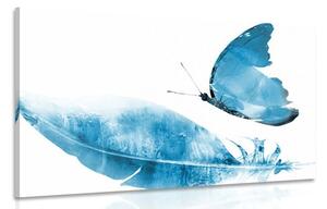 Obraz pírko s motýlem v modrém provedení Varianta: 120x80
